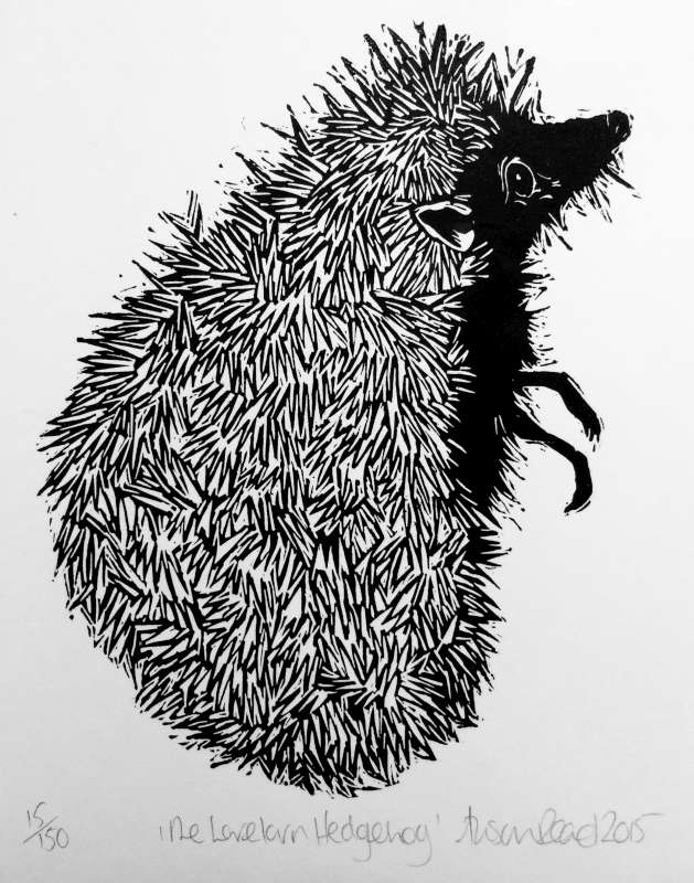The Lovelorn Hedgehog